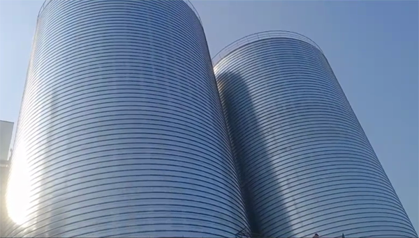 文登2座混凝土高架卷板仓